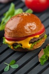 Hamburger